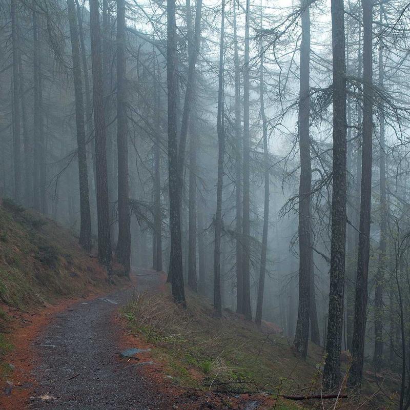 glass_alum 2