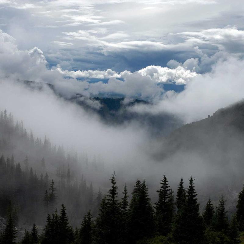 hairdresser 1